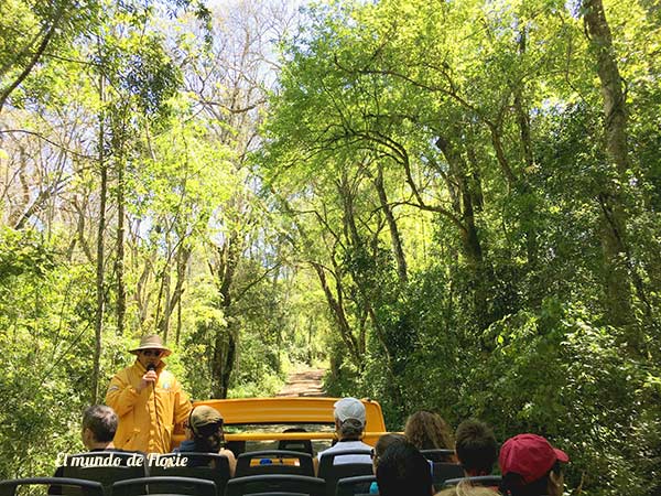 Filanige cataratas-3